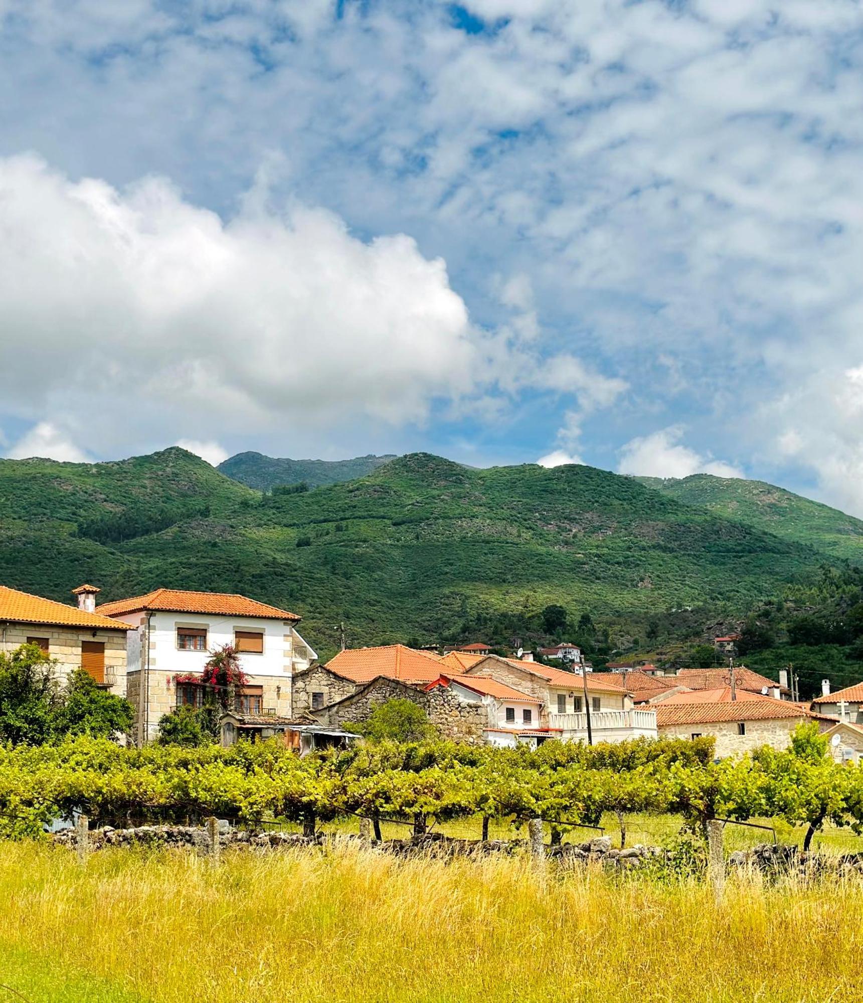 Casa Da Touca Villa Arcos de Valdevez Dış mekan fotoğraf