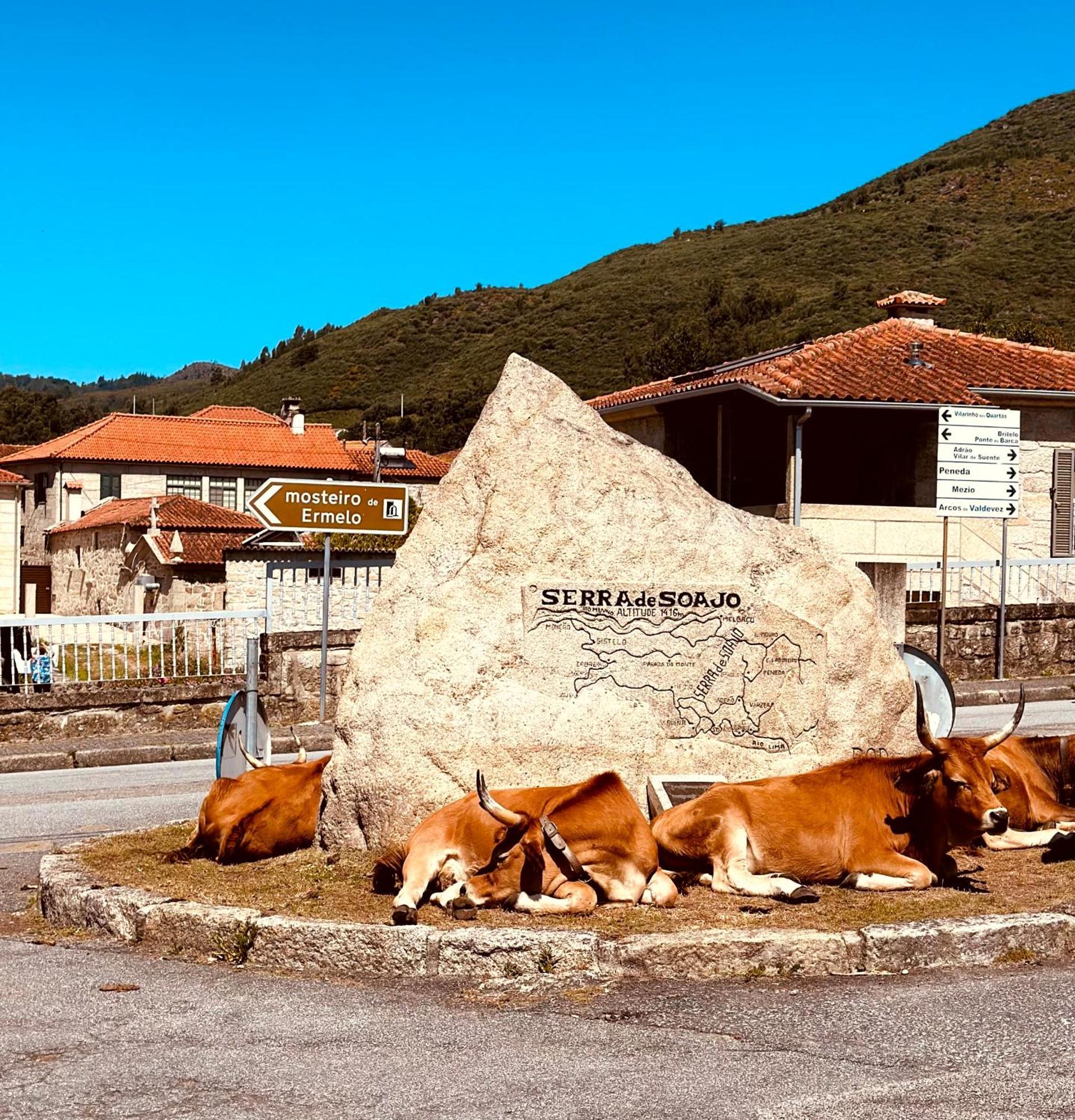 Casa Da Touca Villa Arcos de Valdevez Dış mekan fotoğraf